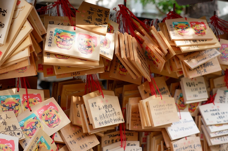 圖片來源：波比看世界