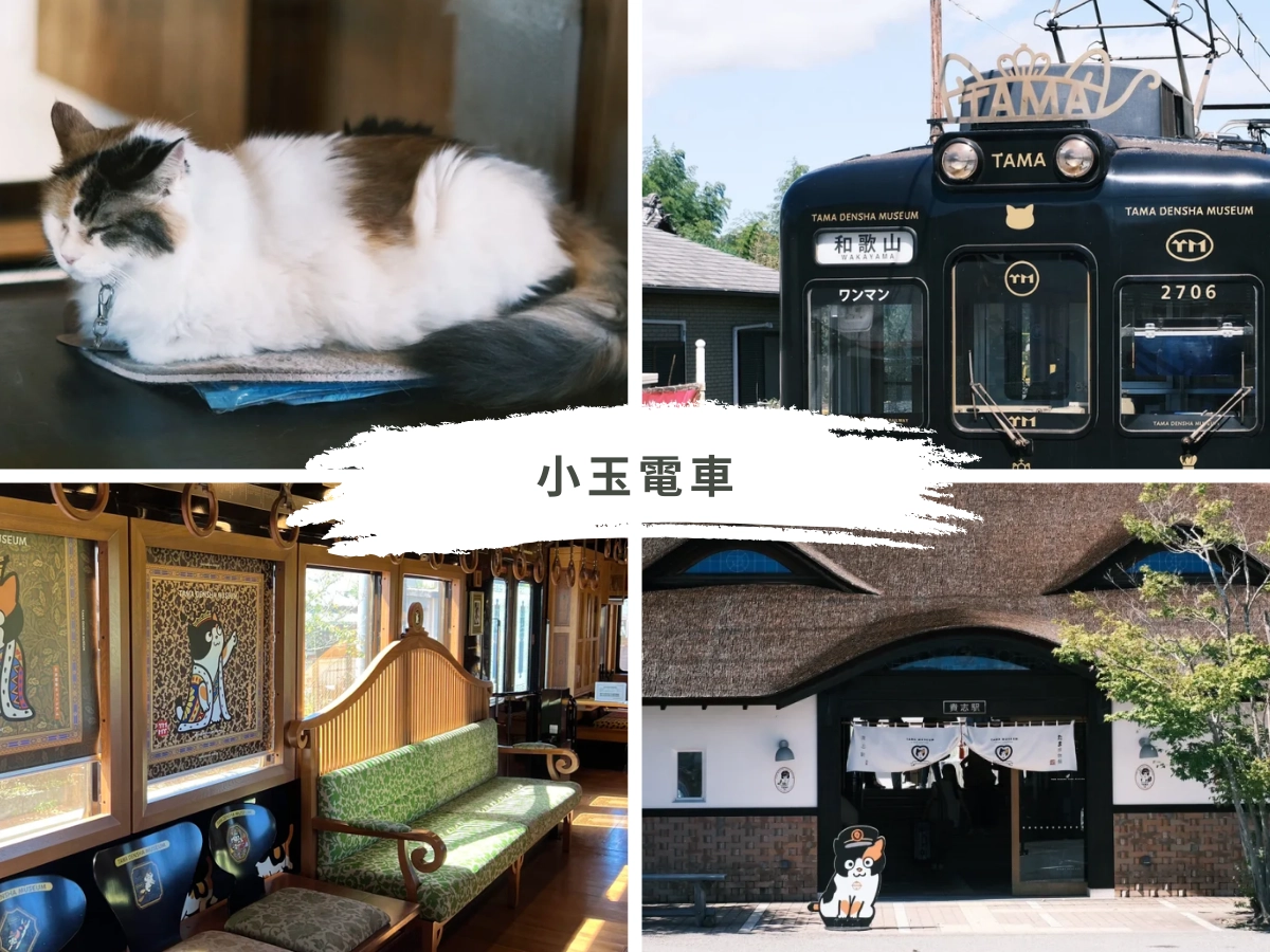 小玉電車 × 和歌山貴志川線