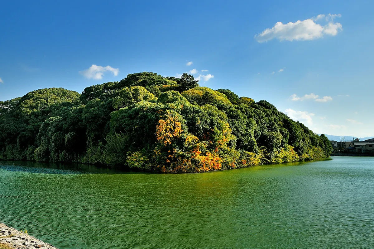 藤井寺市 古墳文化