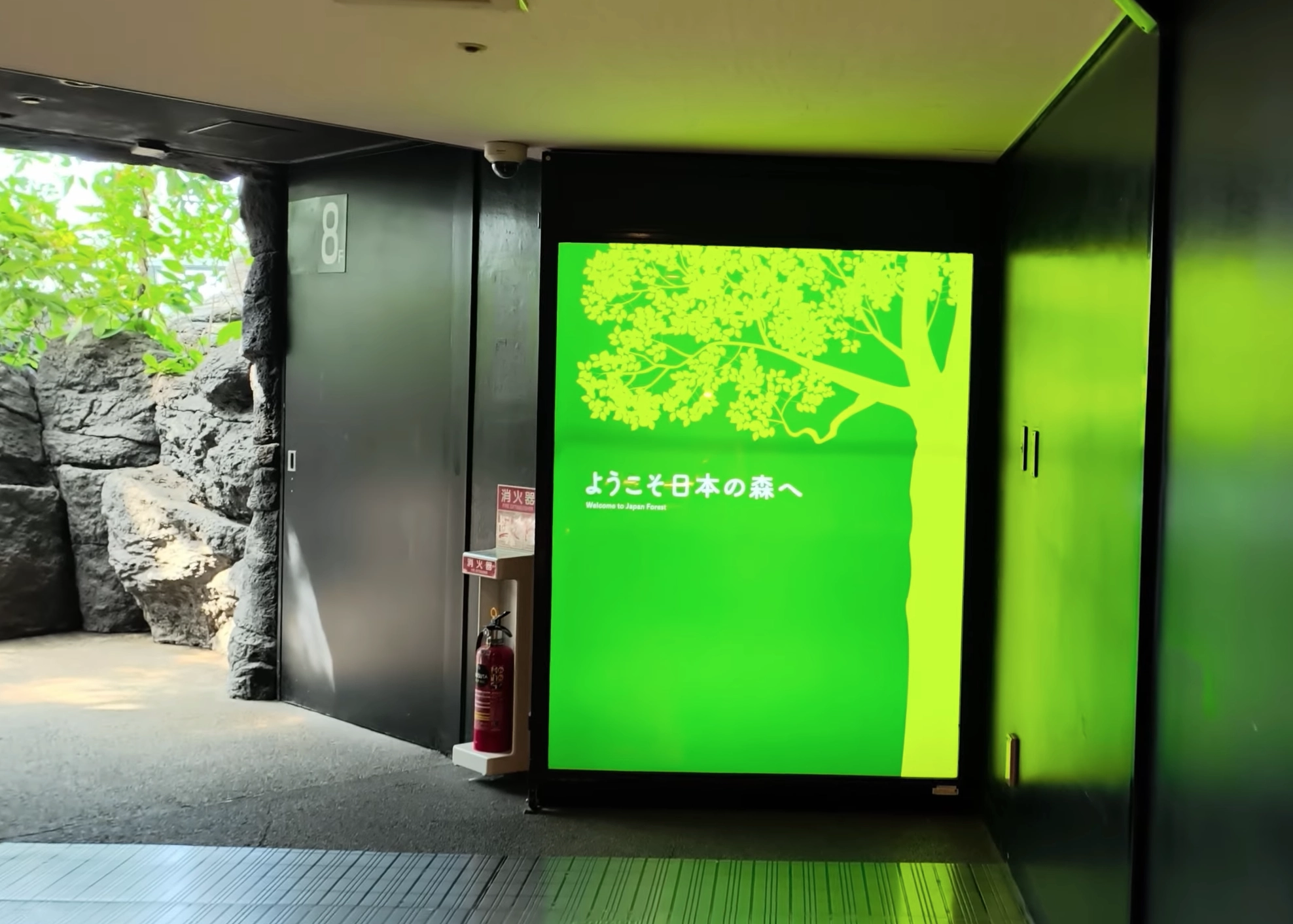 大阪海遊館日本森林展區