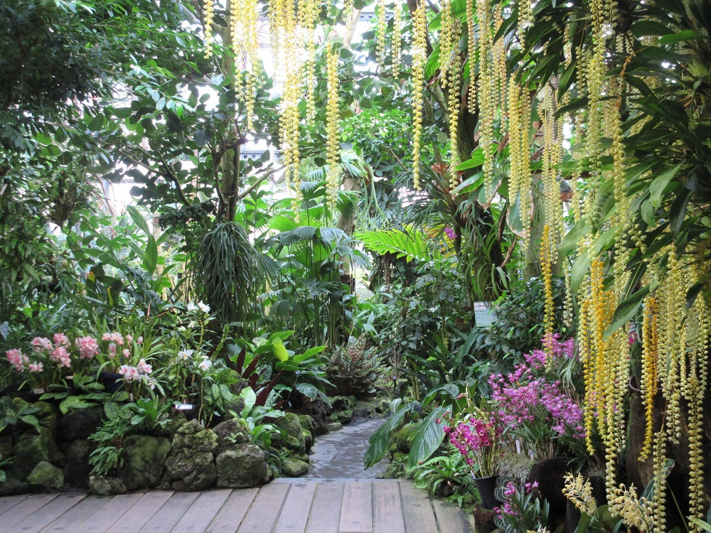 鮮花競放館