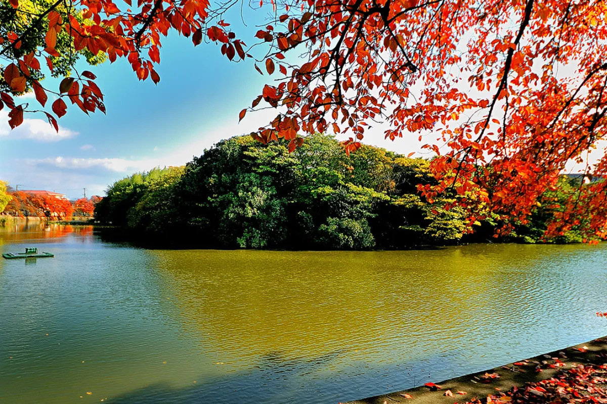 藤井寺市 古墳文化