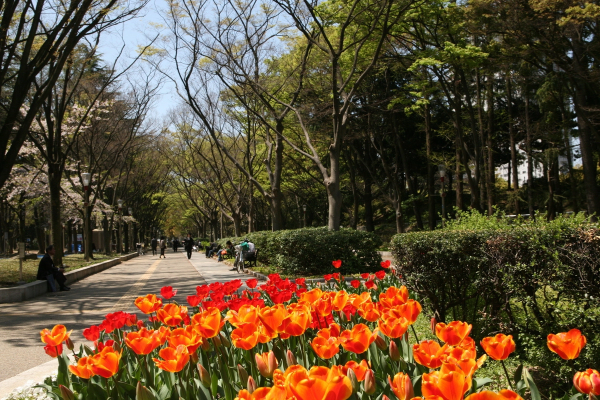 大阪私房景點推薦靱公園