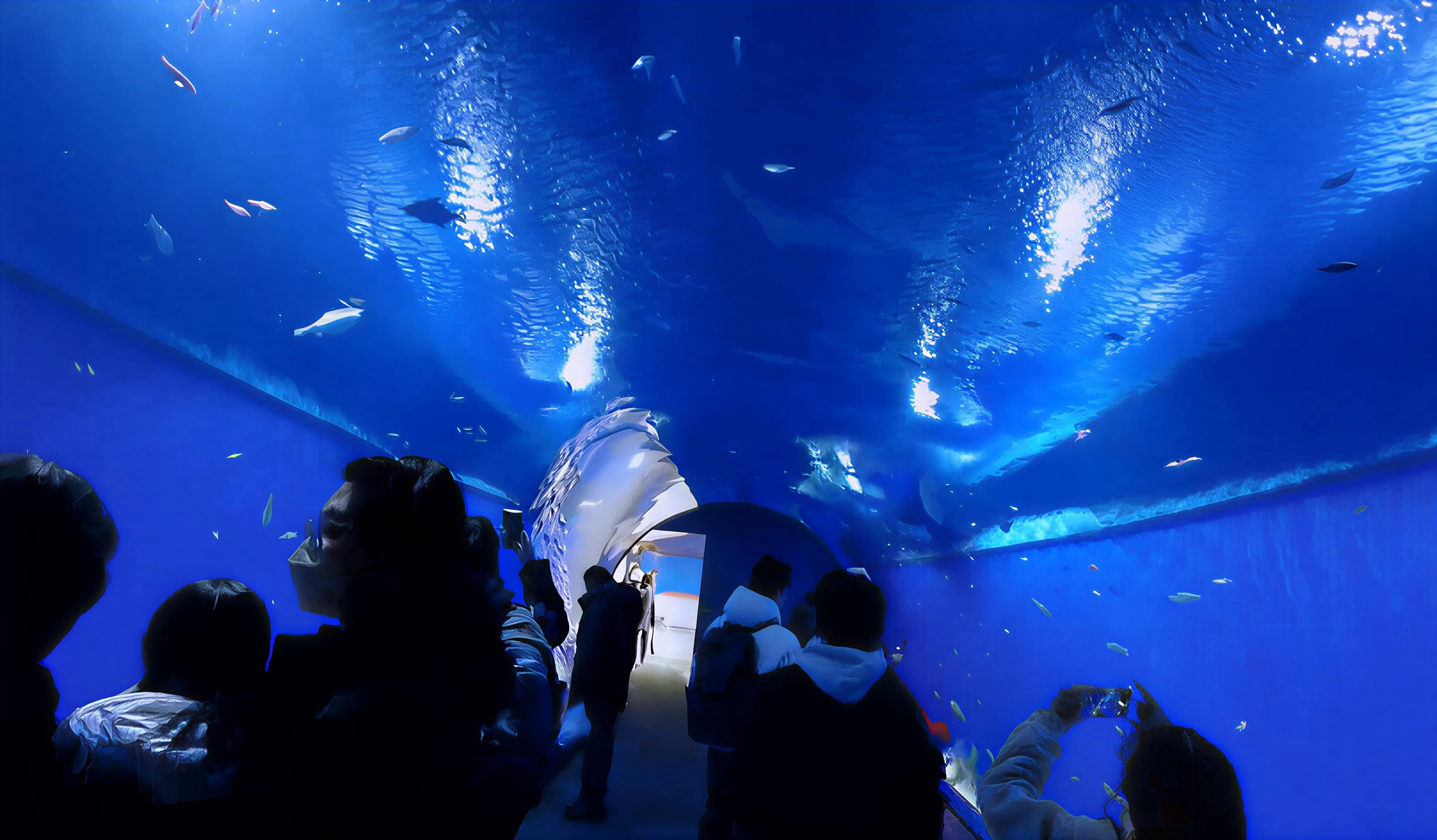 大阪海遊館水門