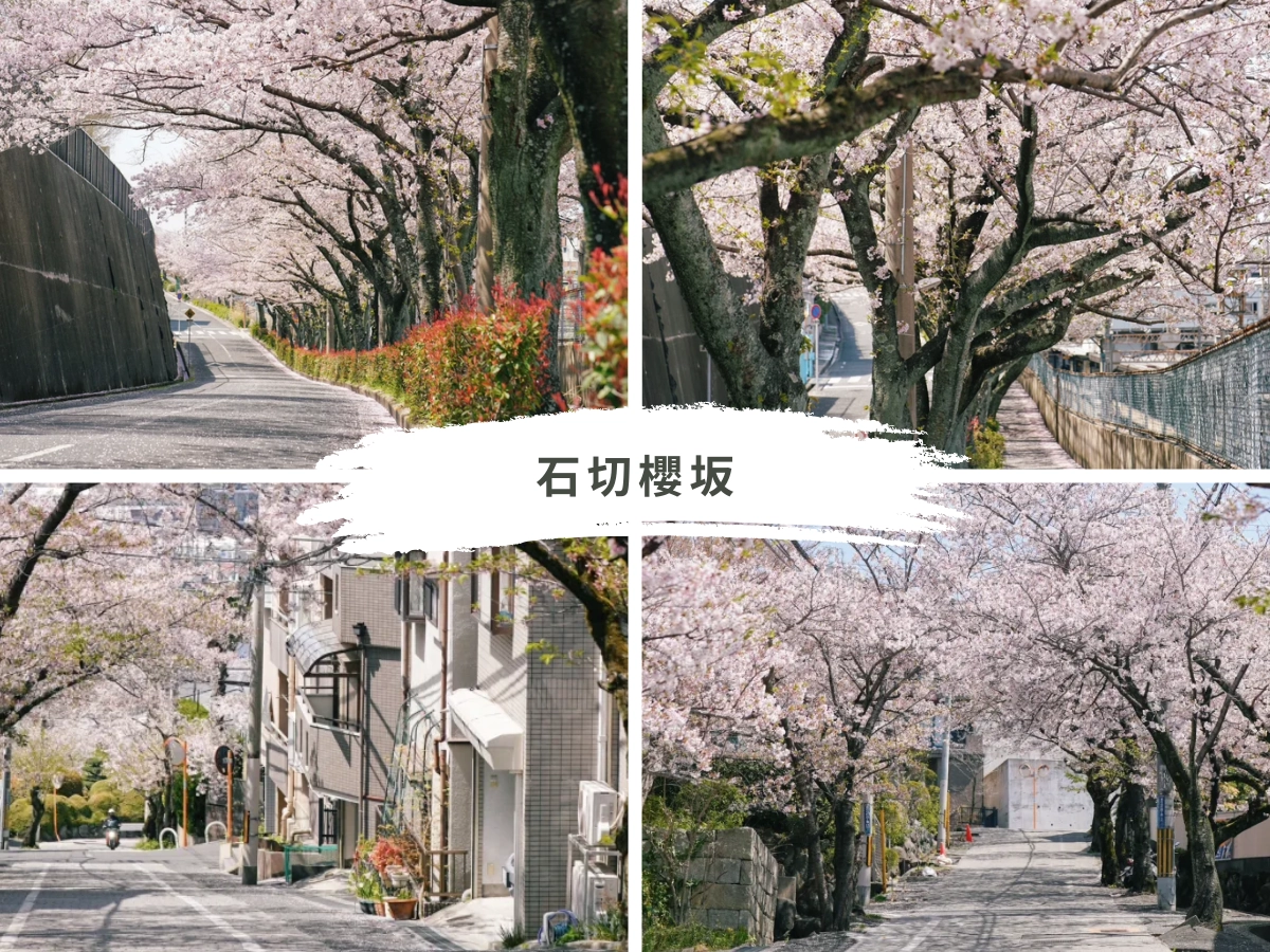石切櫻坂