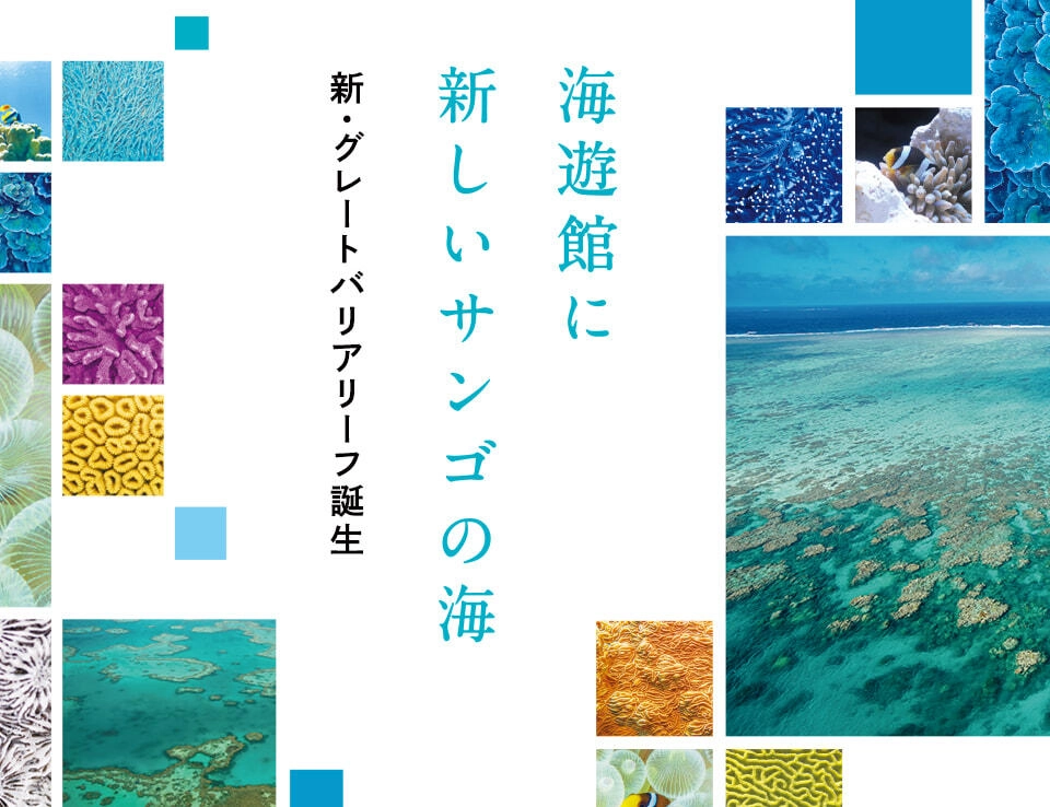 大阪弁天町民宿｜推薦景點｜海遊館 KAIYUKAN（水族館）