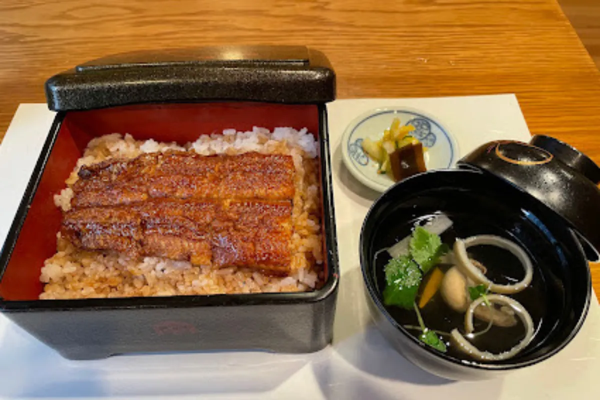 大阪鰻魚飯推薦：本家柴藤（Honke Shibato）