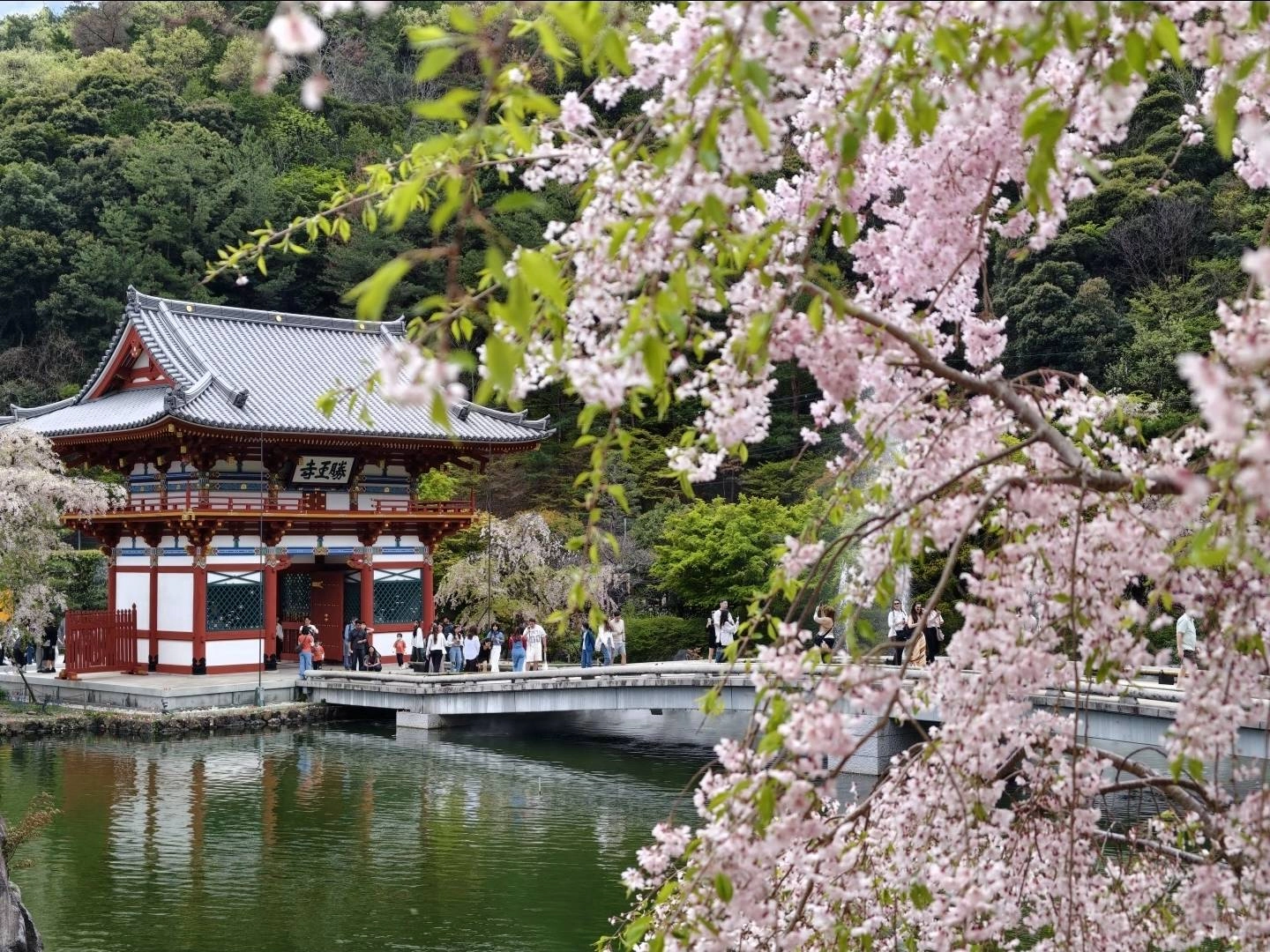 勝尾寺四季都有不同的美