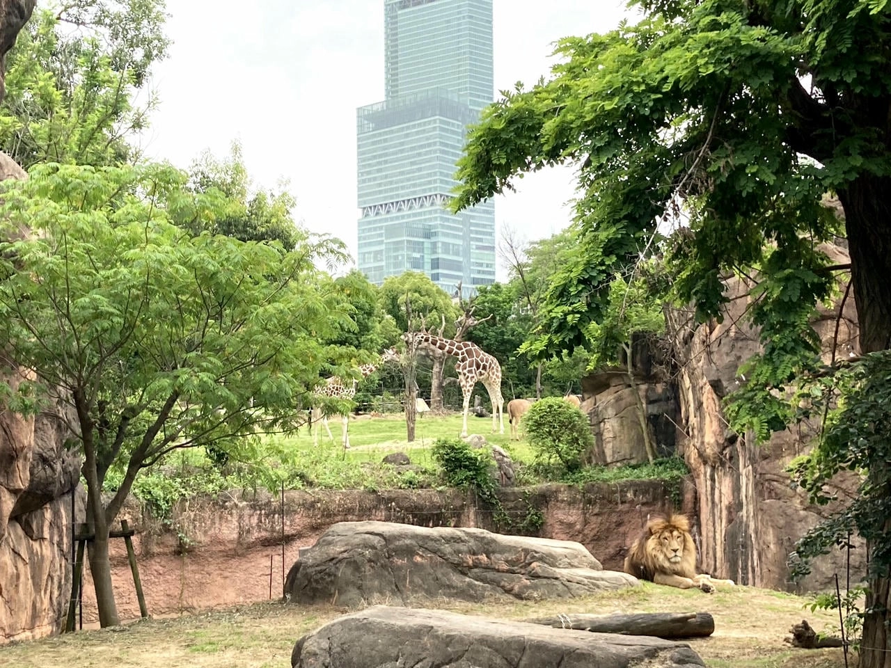 天王寺動物園