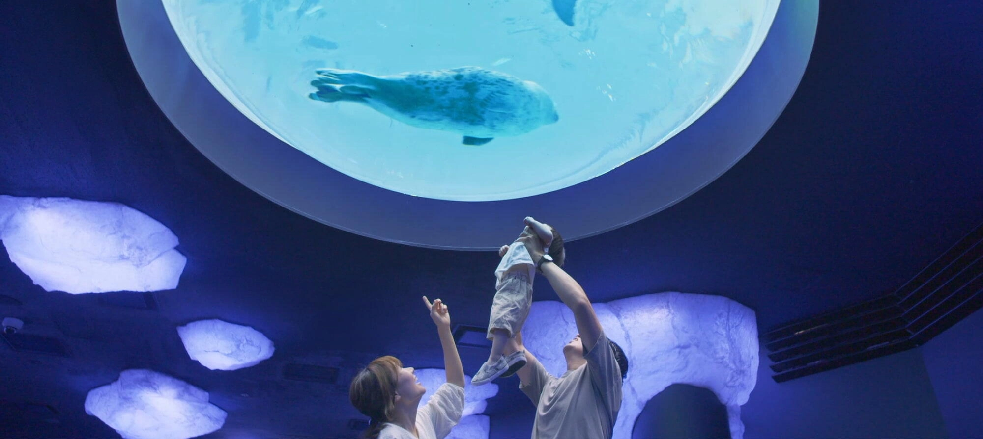 圖片來源：海遊館官網