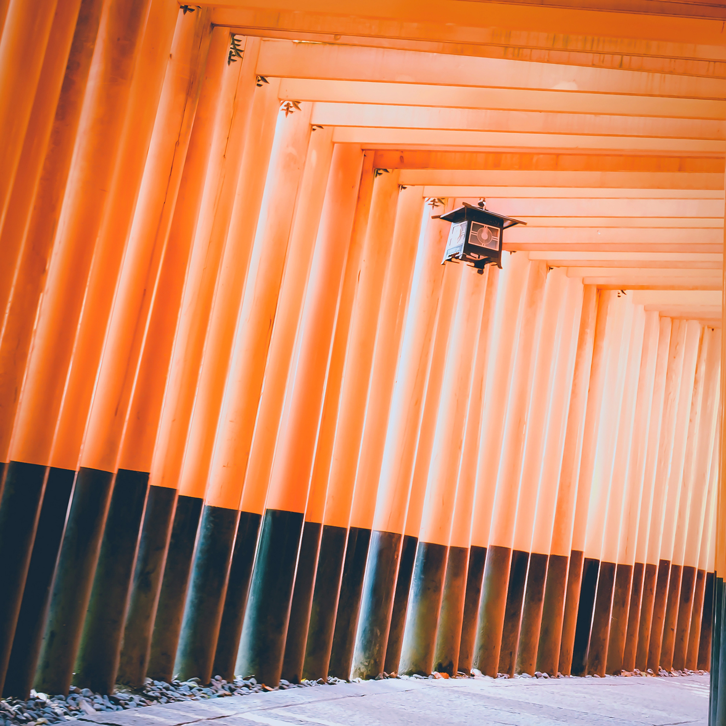 傳統的日本燈在步行路線上