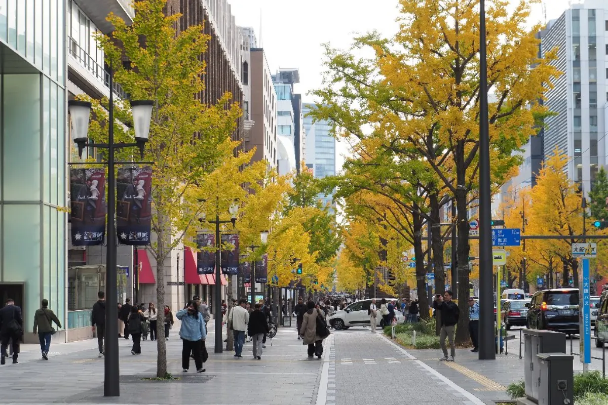 御堂筋銀杏:大阪最有代表性的金黃色城市大道