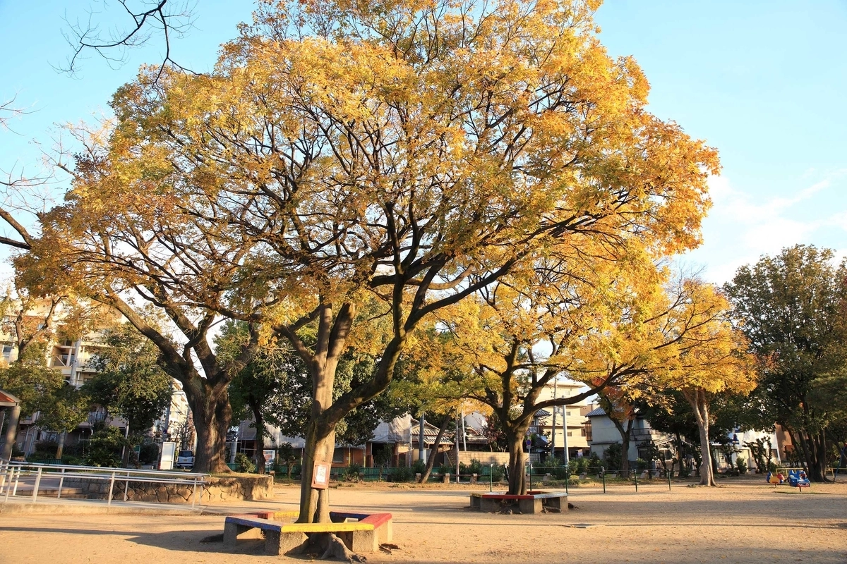 住吉公園:銀杏+大阪老街+住吉大社一起玩