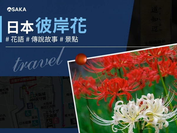 日本彼岸花旅遊攻略｜彼岸花花期、花語、傳說、11 大景點推薦！