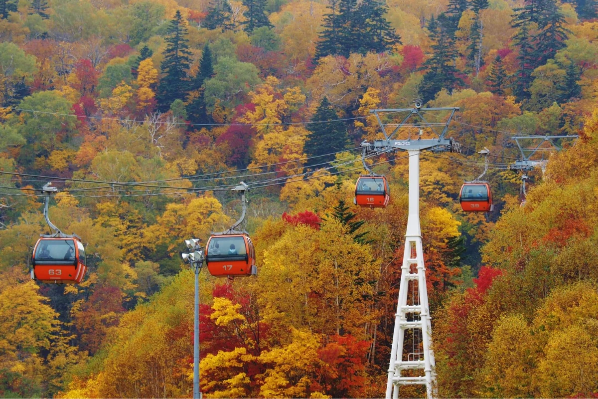 maple-hokkaido-jozankei