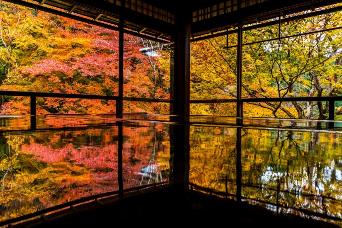 日本京都琉璃光院楓紅相映