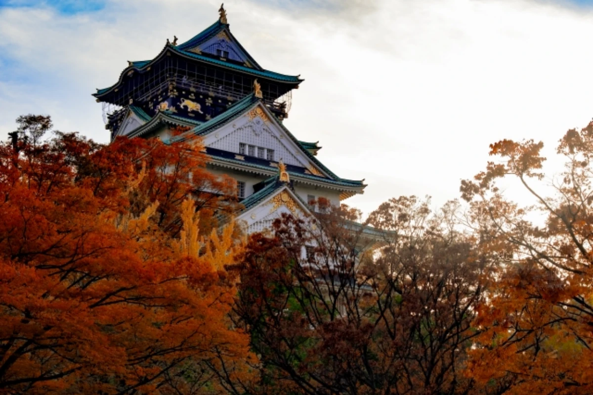 大阪城公園楓葉與天守閣