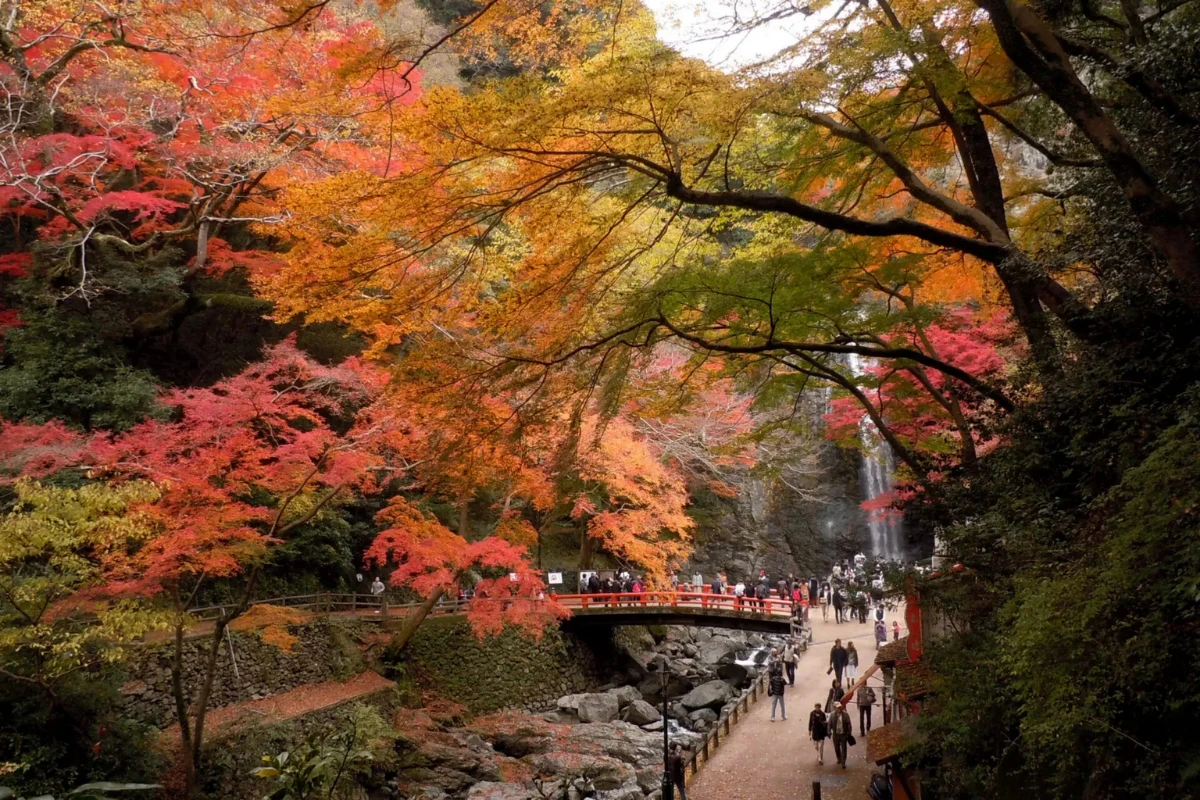 大阪箕面公園楓葉步道