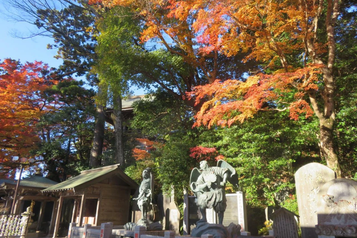 東京賞楓首選高尾山