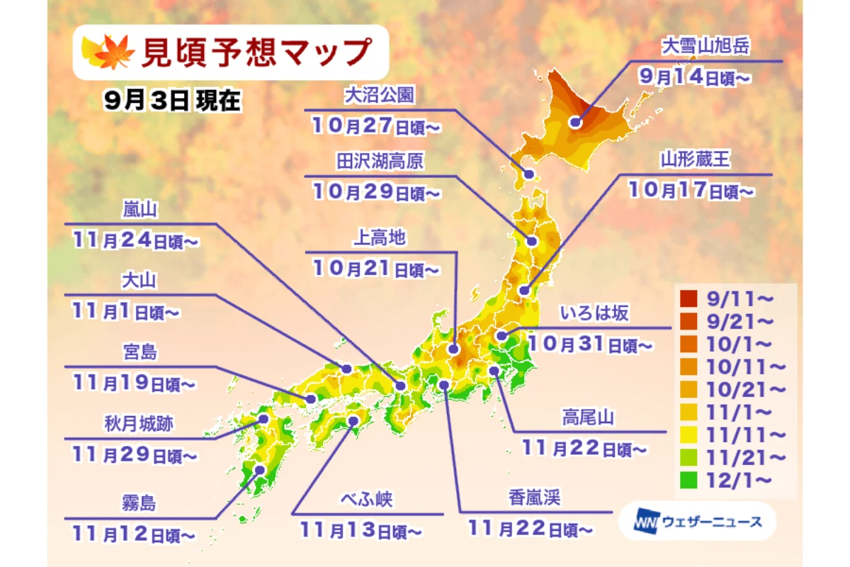 Weathernews 上有日本各地楓紅預測時間可以參考