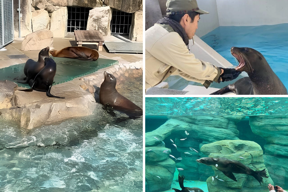 天王寺動物園