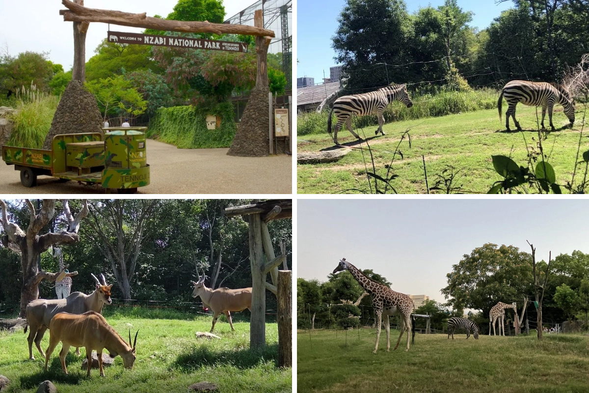 天王寺動物園