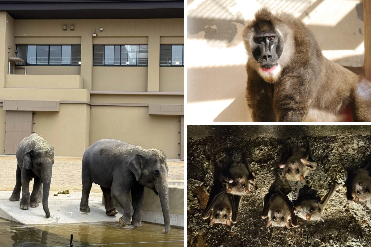 天王寺動物園