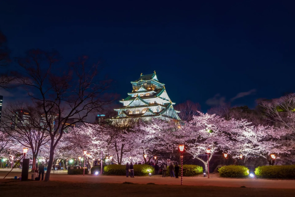大阪城公園是名列「日本三大夜城」的夜景勝地，每天日落後至晚間均能欣賞到璀璨的天守閣點燈與靜謐的護城河倒影